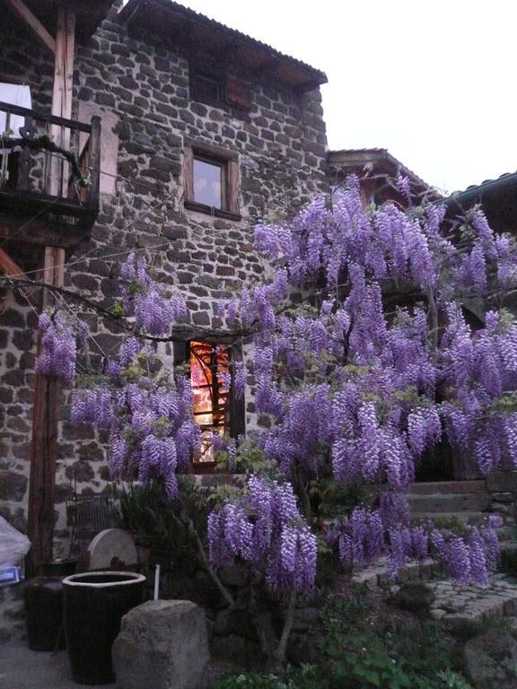 Chambre D'Hotes Et Gites Du Tapissier Polignac  Экстерьер фото